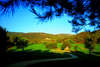 ArabellaSheraton Golf Hotel Son Vida 